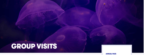 Dubai Aquarium Group Visits