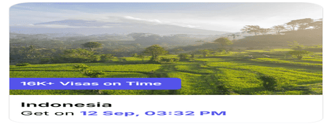 Atlys Instant Category