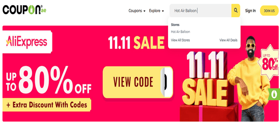 Hot Air Balloon Search Store