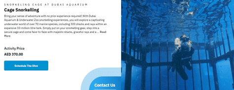 Dubai Aquarium & Underwater Zoo Cage Snorkelling