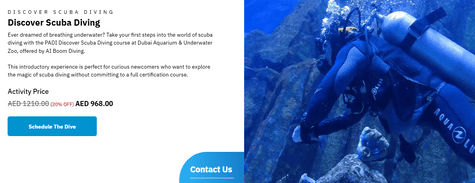 Dubai Aquarium & Underwater Zoo Discover Scuba Diving