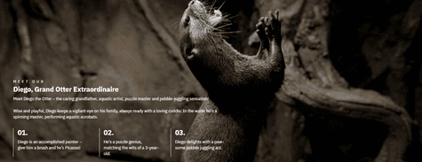 Dubai Aquarium & Underwater Zoo Otter Encounter