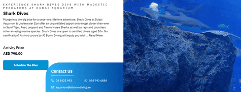 Dubai Aquarium & Underwater Zoo Shark Dives