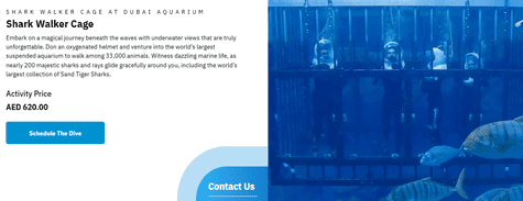 Dubai Aquarium & Underwater Zoo Shark Walker Cage