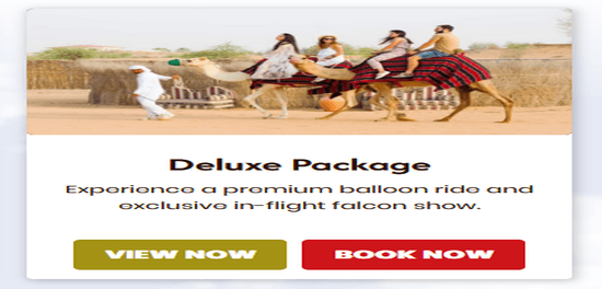 Products of Hot Air Balloon