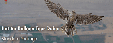 Hot Air Balloon Standard Package