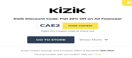 Kizik Copy Code