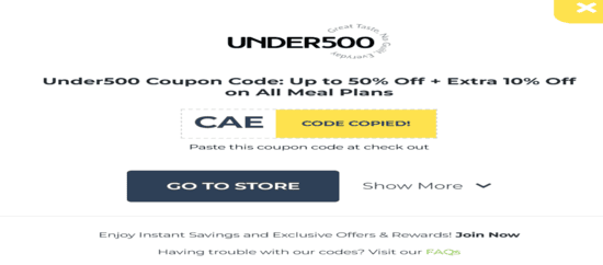 Under500 Copy Code