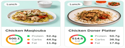 Under500 Gain Muscles