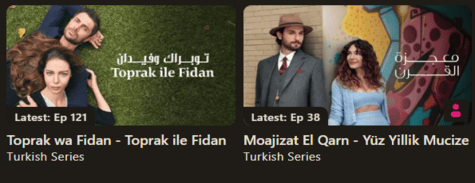 viu Turkish Series